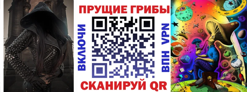 кракен Маркс Галлюциногенные грибы Cubensis